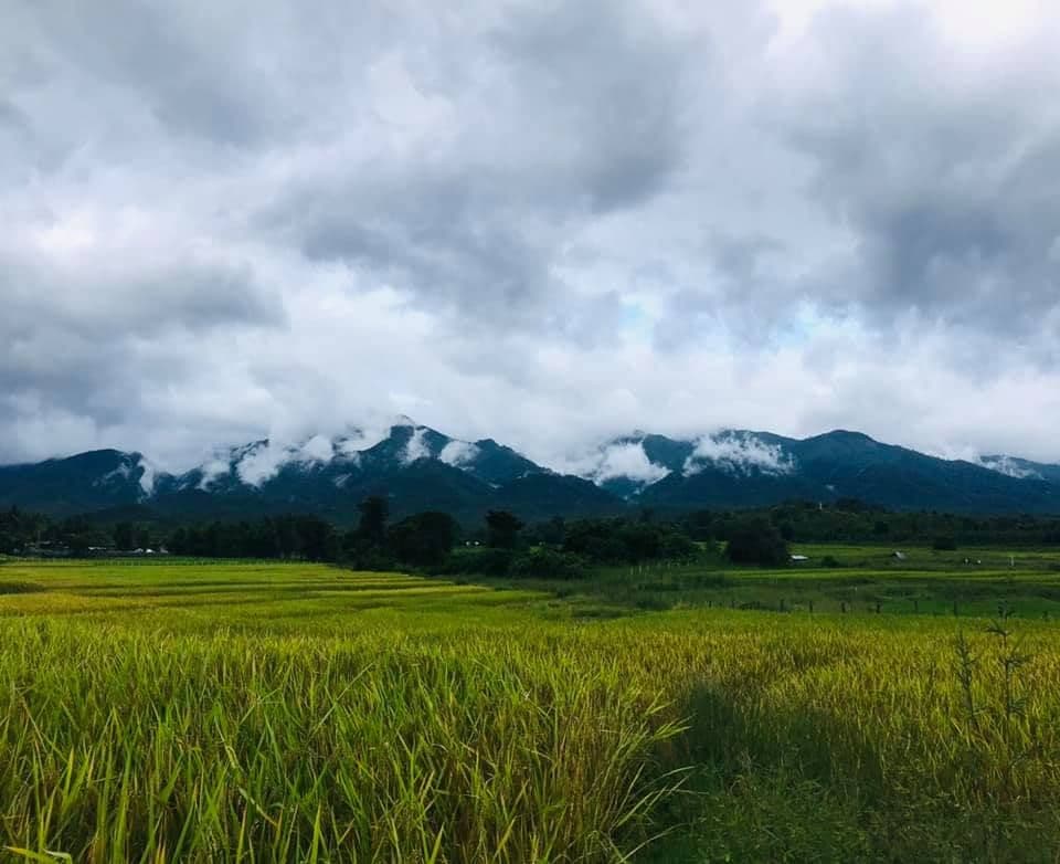 ที่ดินให้เช่า สำหรับ รีสอร์ท แคมป์ปิ้ง ทางขึ้นดอยหละกาโจ บ้านห้วยไม้หก เชียงใหม่