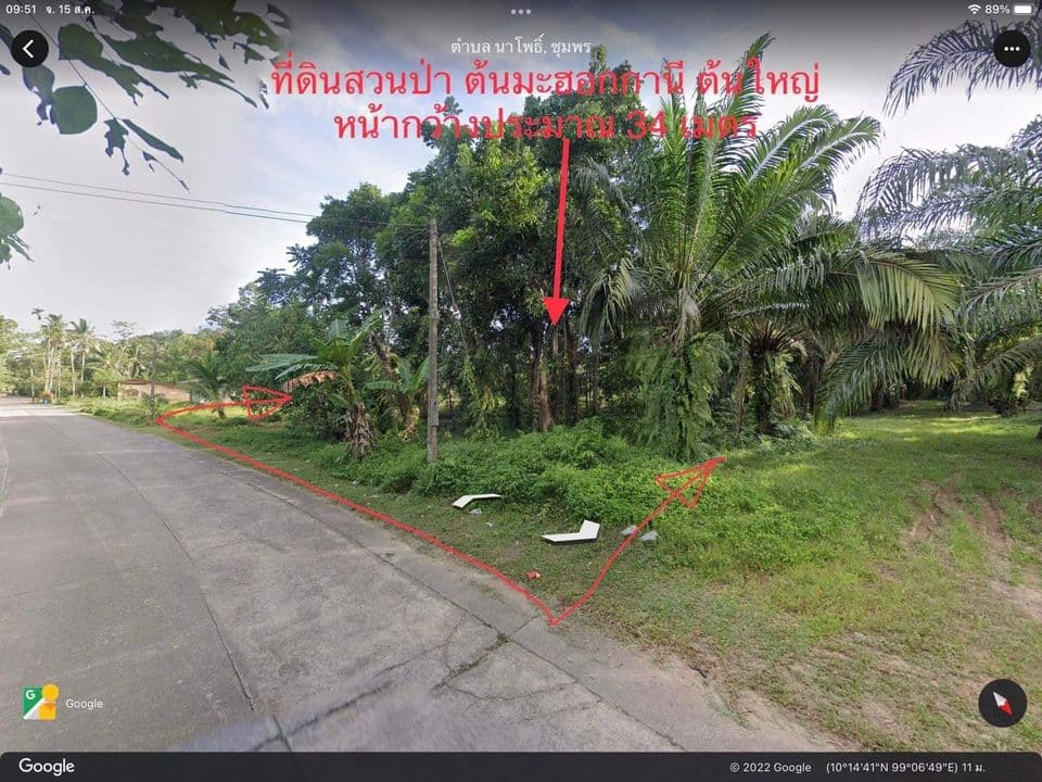 ขายที่ดิน ชุมพร 2-2-49.3 ไร่