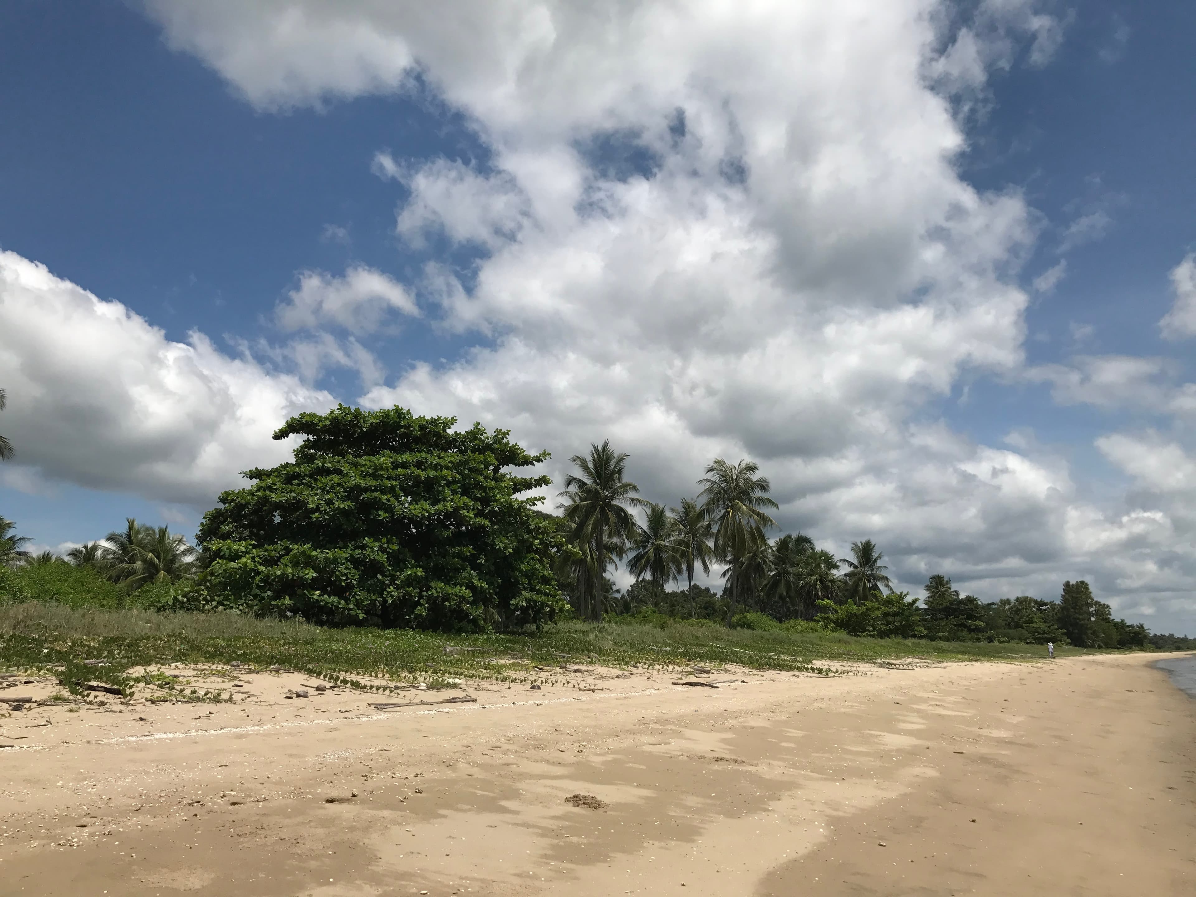 ที่ดินติดชายหาด วิวสวย สุราษฎ์ธานี 11-3-24