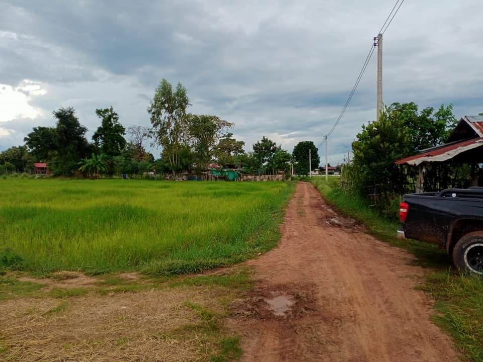 ขายที่ดิน มหาสารคาม 7-1-76 ไร่