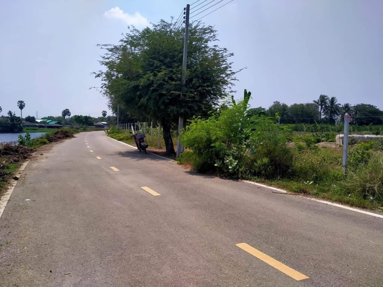 ขายที่ดินราชบุรี โพธาราม 9-1-18