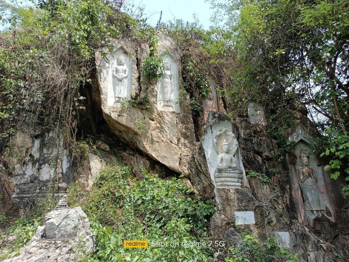 ขายที่ดินเชียงราย แม่จัน  หลังไร่ชาฉุยฟง