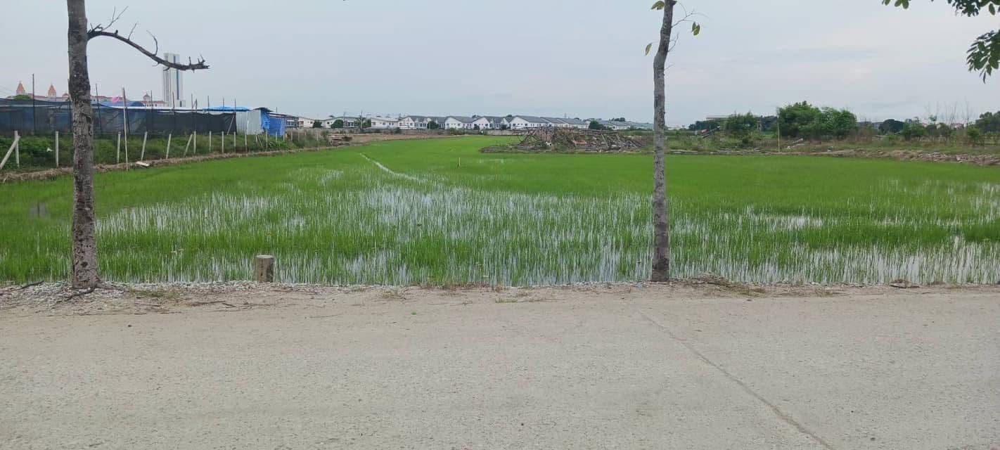 ที่ดินเปล่าสวยๆ