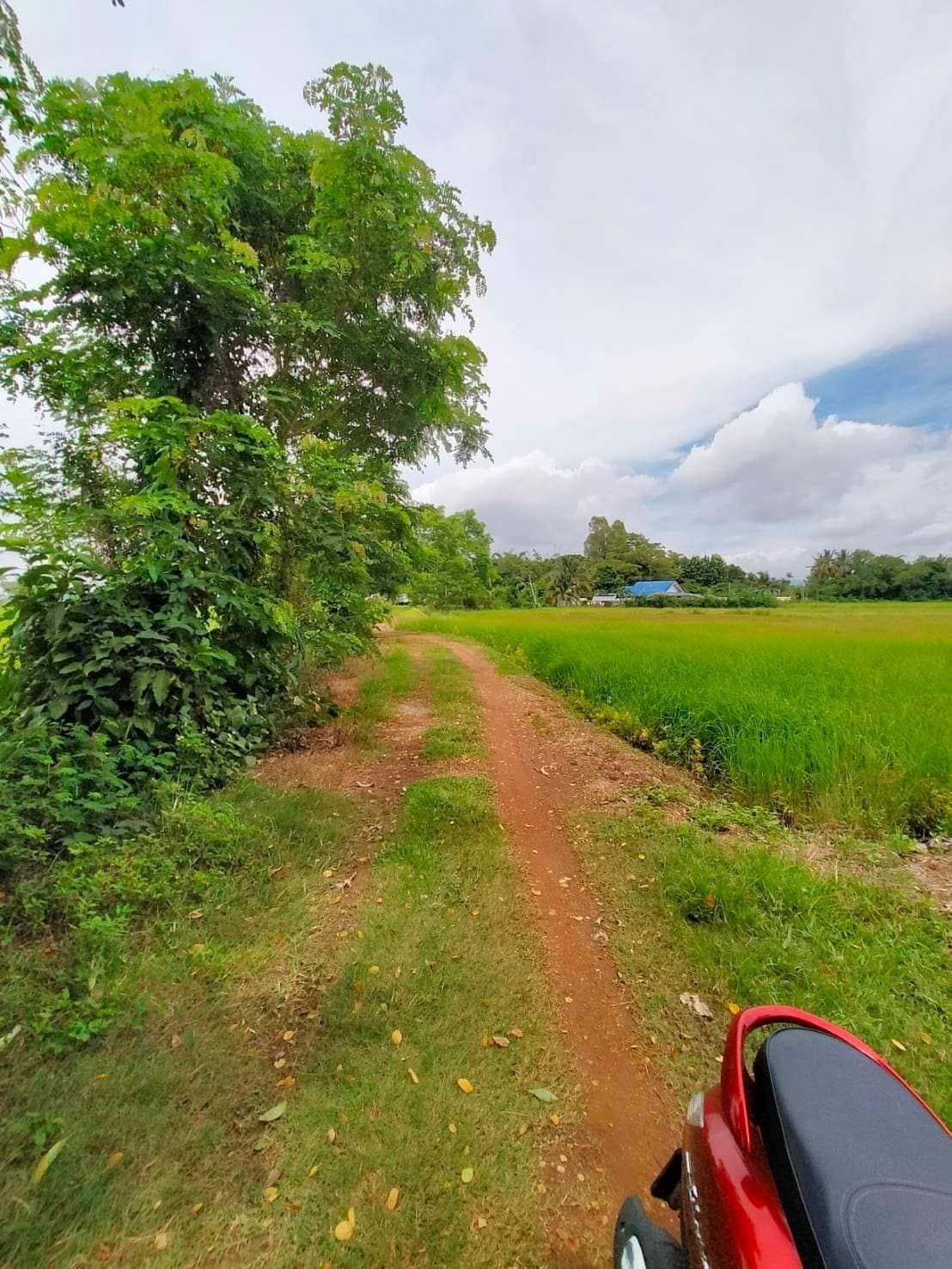 ขายที่ดินลำปาง เมืองลำปาง 8-1-39