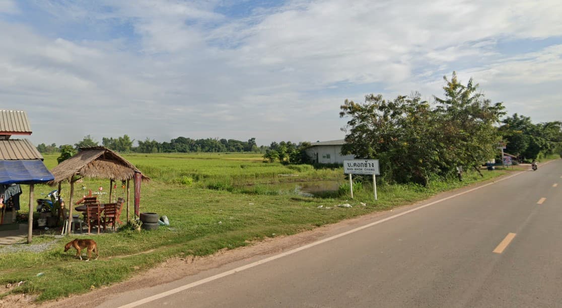 ที่ดินเปล่า อ.สระใคร จ.หนองคาย 