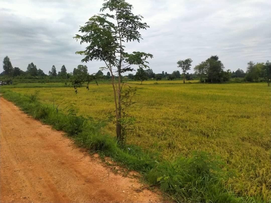 ขายที่ดินขอนแก่น เมืองขอนแก่น 4-0-28.8