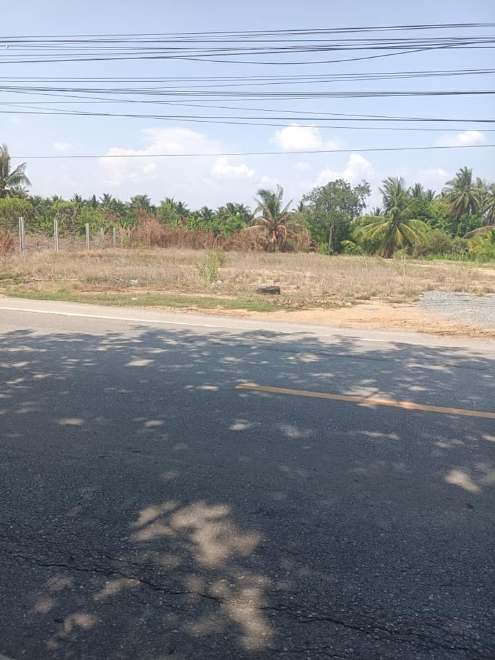 ขายที่ดิน อ.บ้านแพ้ว จ.สมุทรสาคร 0-2-71.9 ไร่