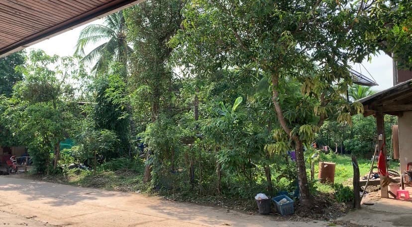 ขายที่ดินพร้อมสิ่งปลูกสร้าง บ้านแพง นครพนม 0--2-10ตรว.