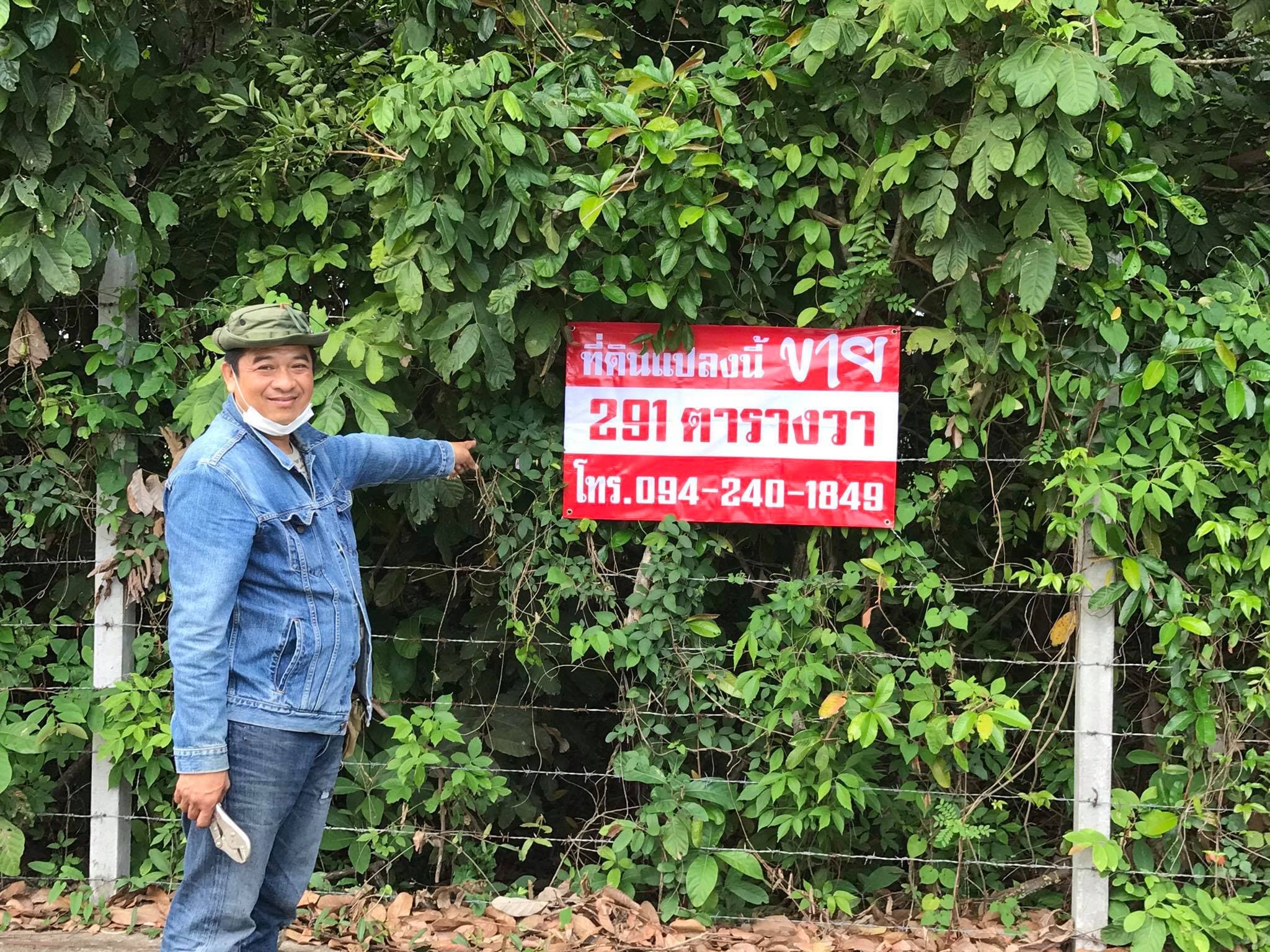 ที่ดินเปล่า ชลบุรี 291 ตร.ว
