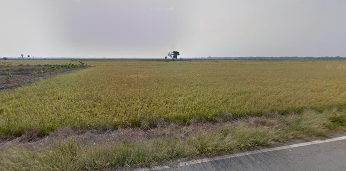 ที่ดินเปล่าฉะเชิงเทรา จ.ฉะเชิงเทรา อ.บางน้ำเปรี้ยว 1 ไร่