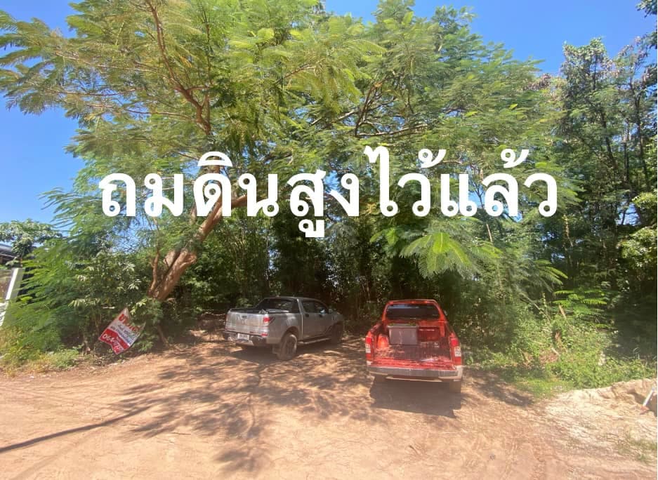 ขายที่ดินเปล่านครราชสีมา จ.นครราชสีมา อ.เมืองนครราชสีมา 1 งาน