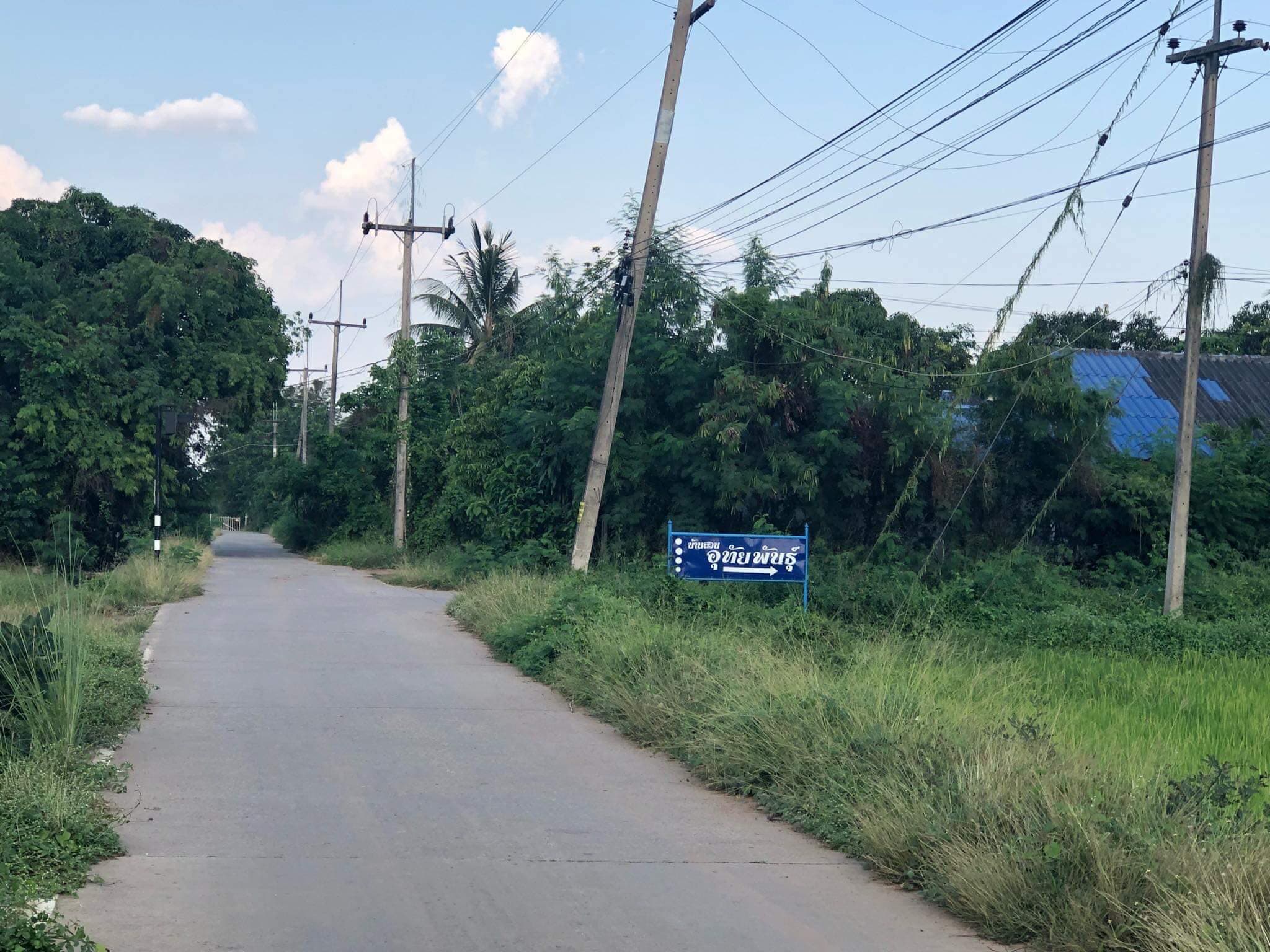 ขายที่ดินขอนแก่น เมืองขอนแก่น 0-0-80.1