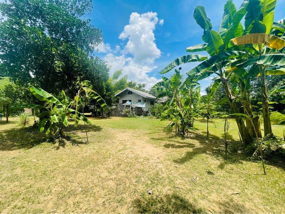 ที่ดิน ติดแม่น้ำ พร้อมบ้านหลังเล็ก เพชรบุรี 0-2-42