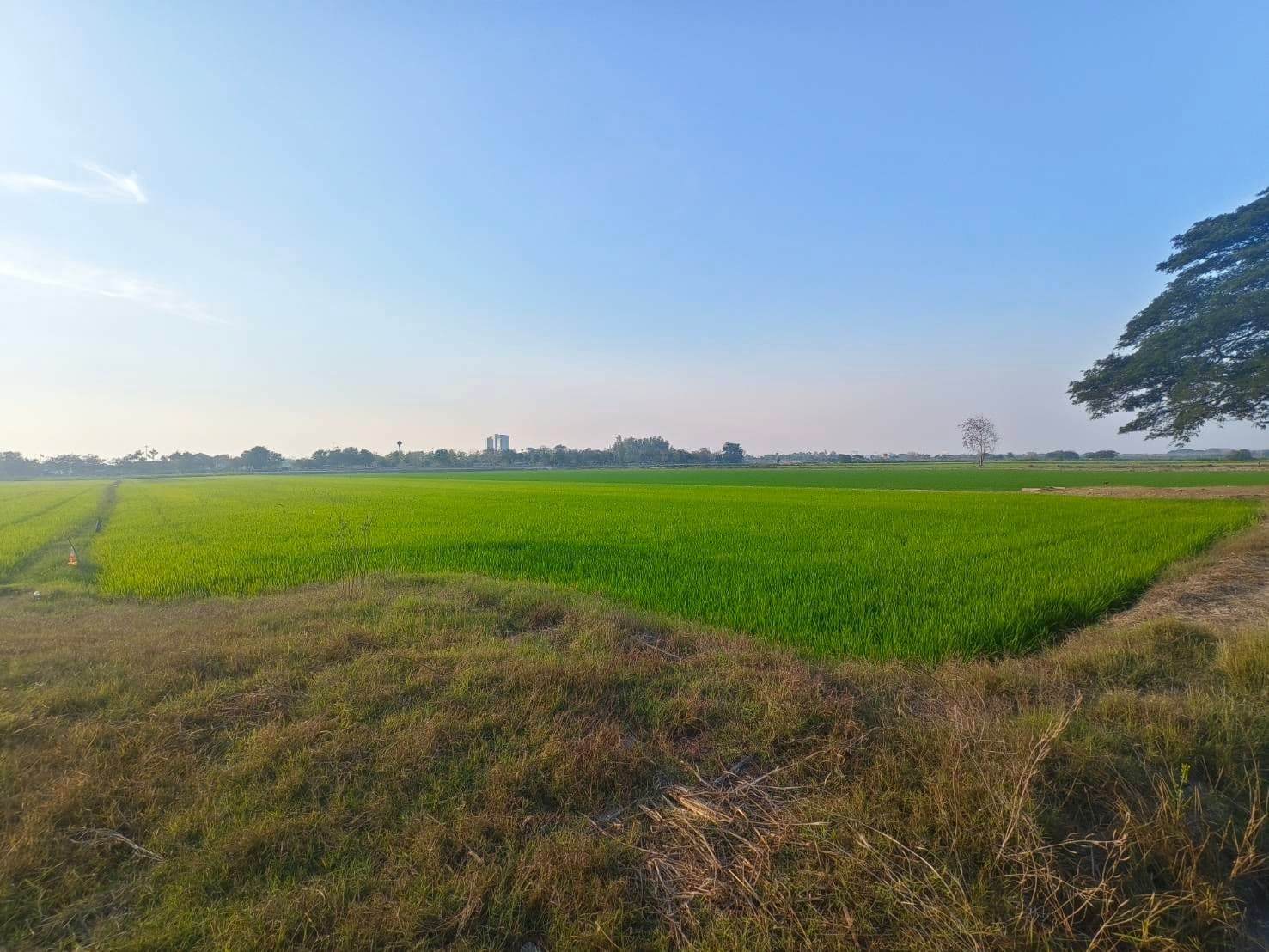 ขายที่ดินสุพรรณบุรี อำเภอเมือง เขตเทศบาลท่าระหัด