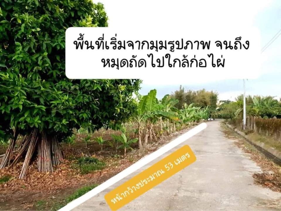 ขายที่ดินเชียงใหม่ เข้าทางเขื่อนแม่งัด เชียงใหม่ อ.เเม่เเตง 2-2-54