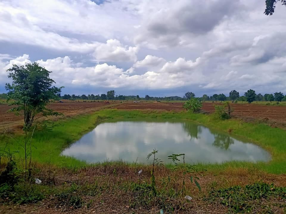 ที่ดินเปล่า เพชรบูรณ์ 34 ไร่เศษ