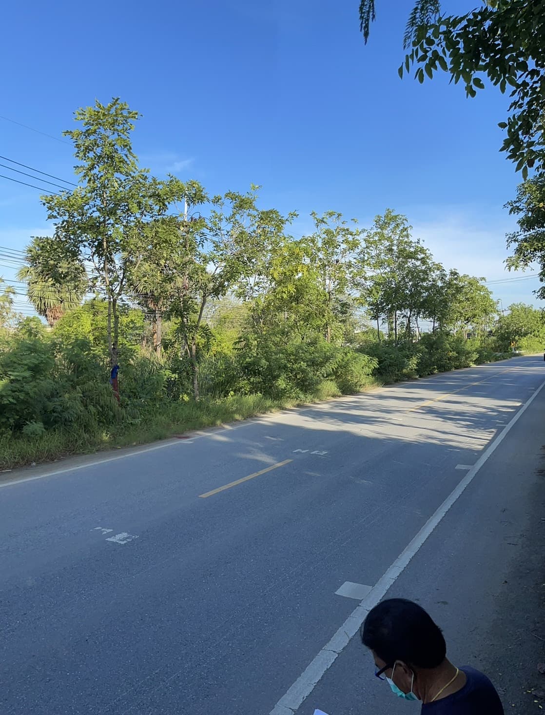 ที่ดินเปล่า สามโคก ปทุมธานี 9-2-16