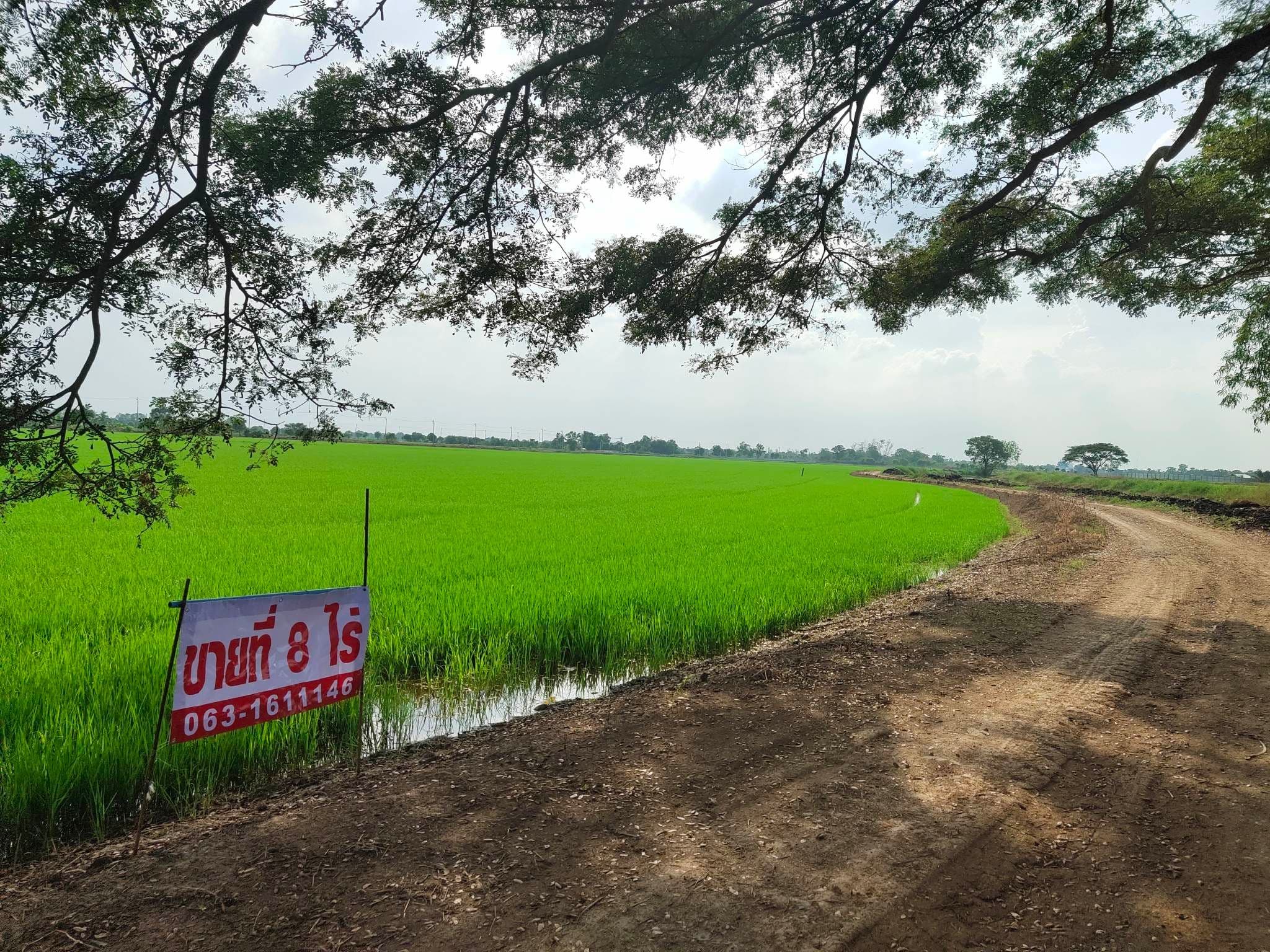 ขายที่ดินกรุงเทพฯ เขตหนองจอก 8-0-16