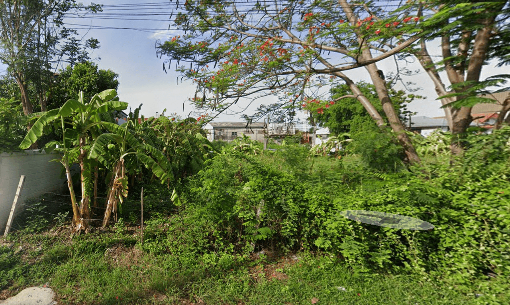 ขายที่ดินทำเลทองในเมืองทองธานี ทำเลหาไม่ได้อีกแล้วในโซนนี้ ติดกับห้าง Beehive