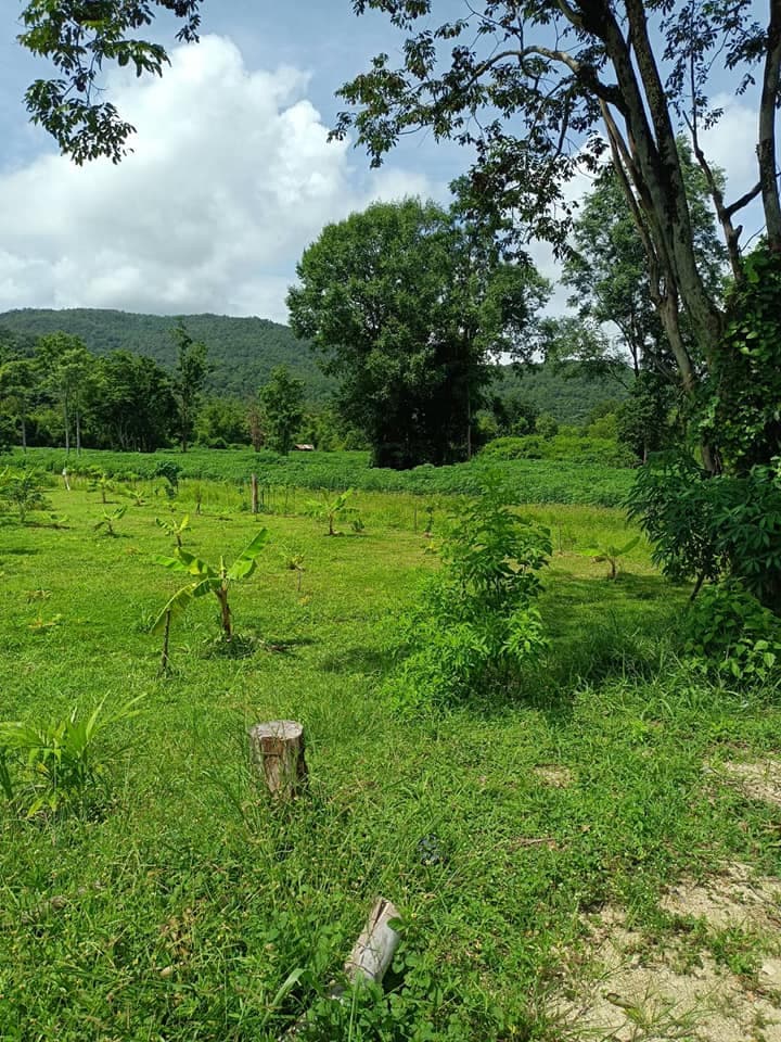 ขายที่ดิน ตาก 2 ไร่