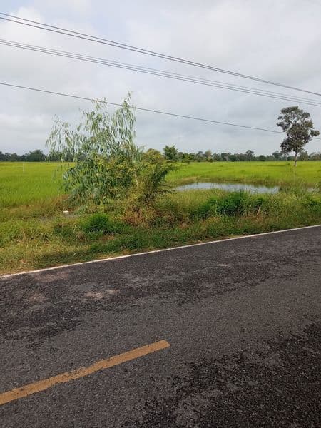 ขายที่ดิน ร้อยเอ็ด 2-2-80.7 ไร่
