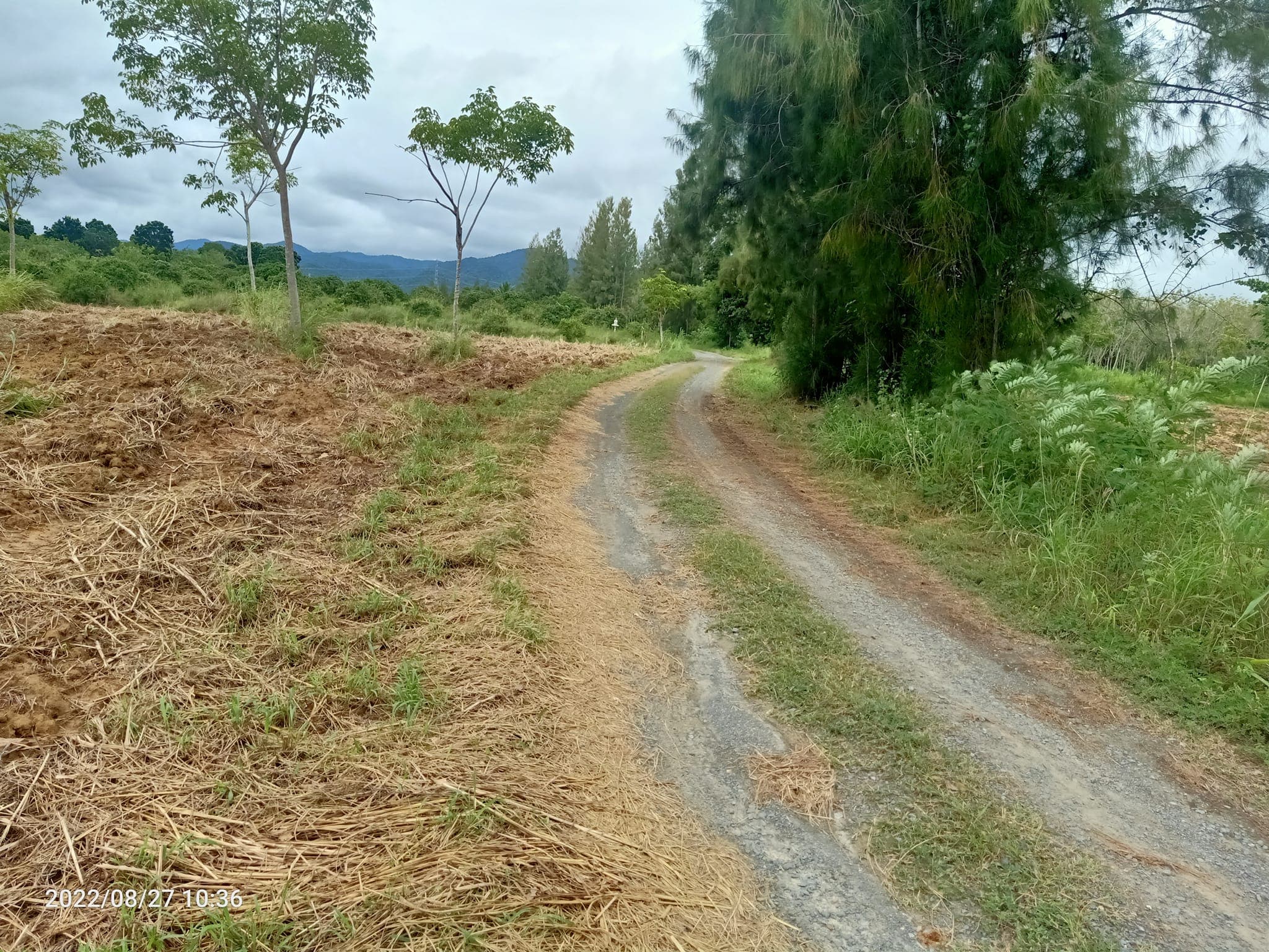 ขายที่ดินประจวบคีรีขันธ์ เมืองประจวบคีรีขันธ์ 33-2-19.4 ไร่