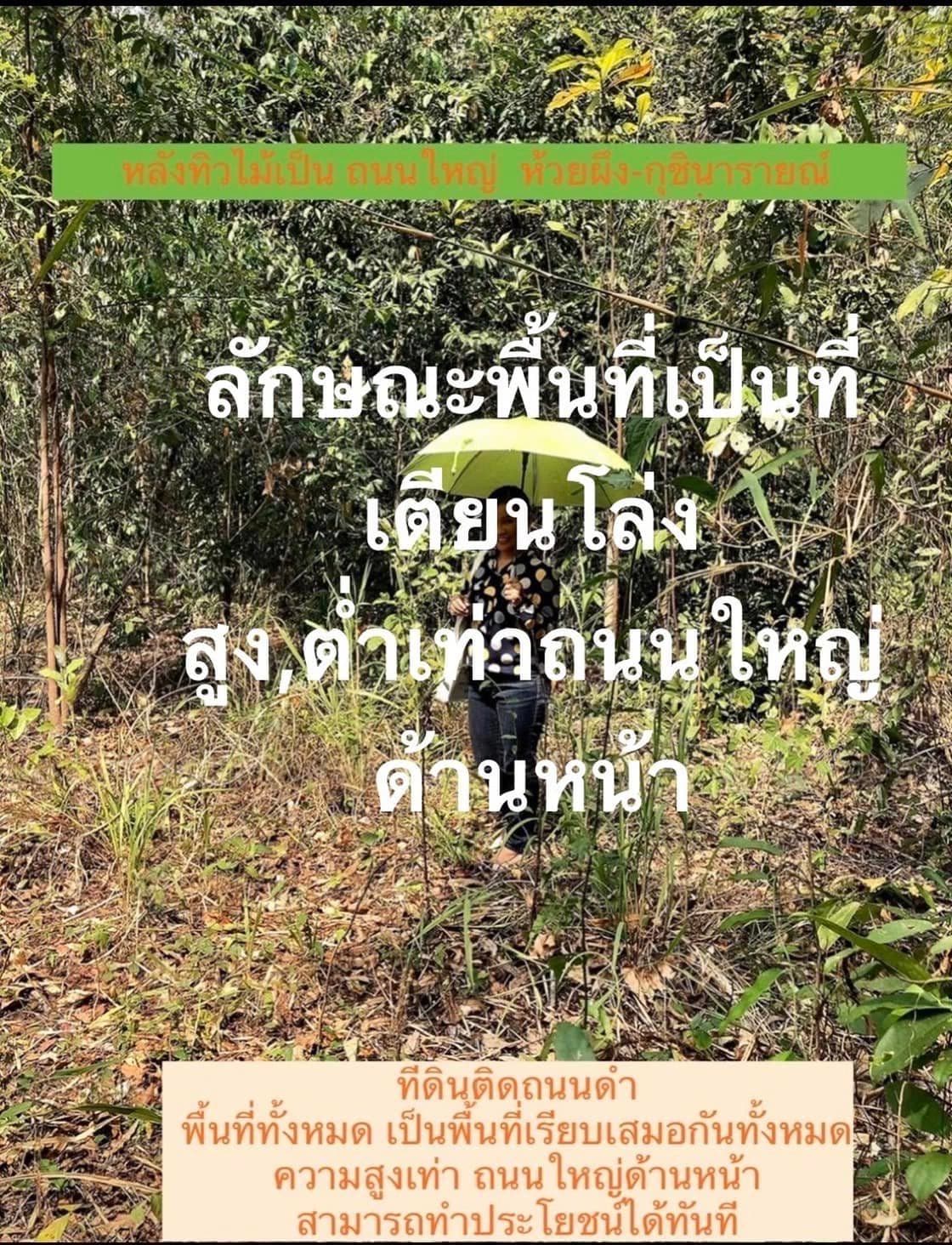 ขายที่ดินกาฬสินธุ์ ห้วยผึ้ง 5-3-44