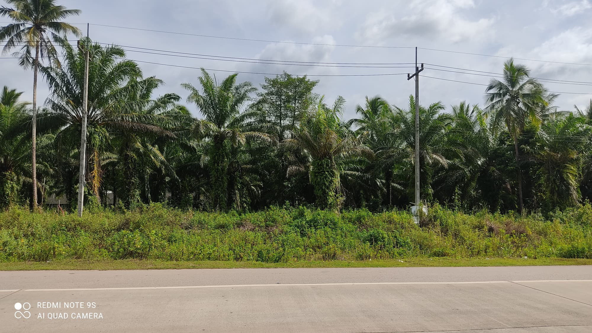 ขายที่ดินพร้อมบ้านชุมพร จ.ชุมพร อ.เมืองชุมพร 3-2-57 ไร่