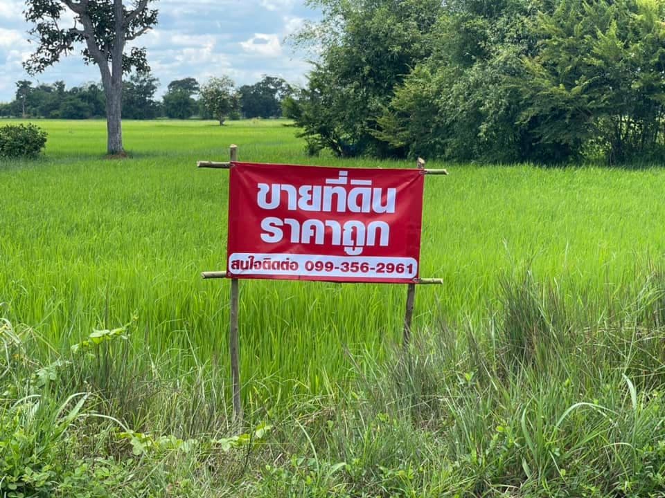 ขายที่ดิน อ.ธวัชบุรี จ.ร้อยเอ็ด 0-3-53 ไร่