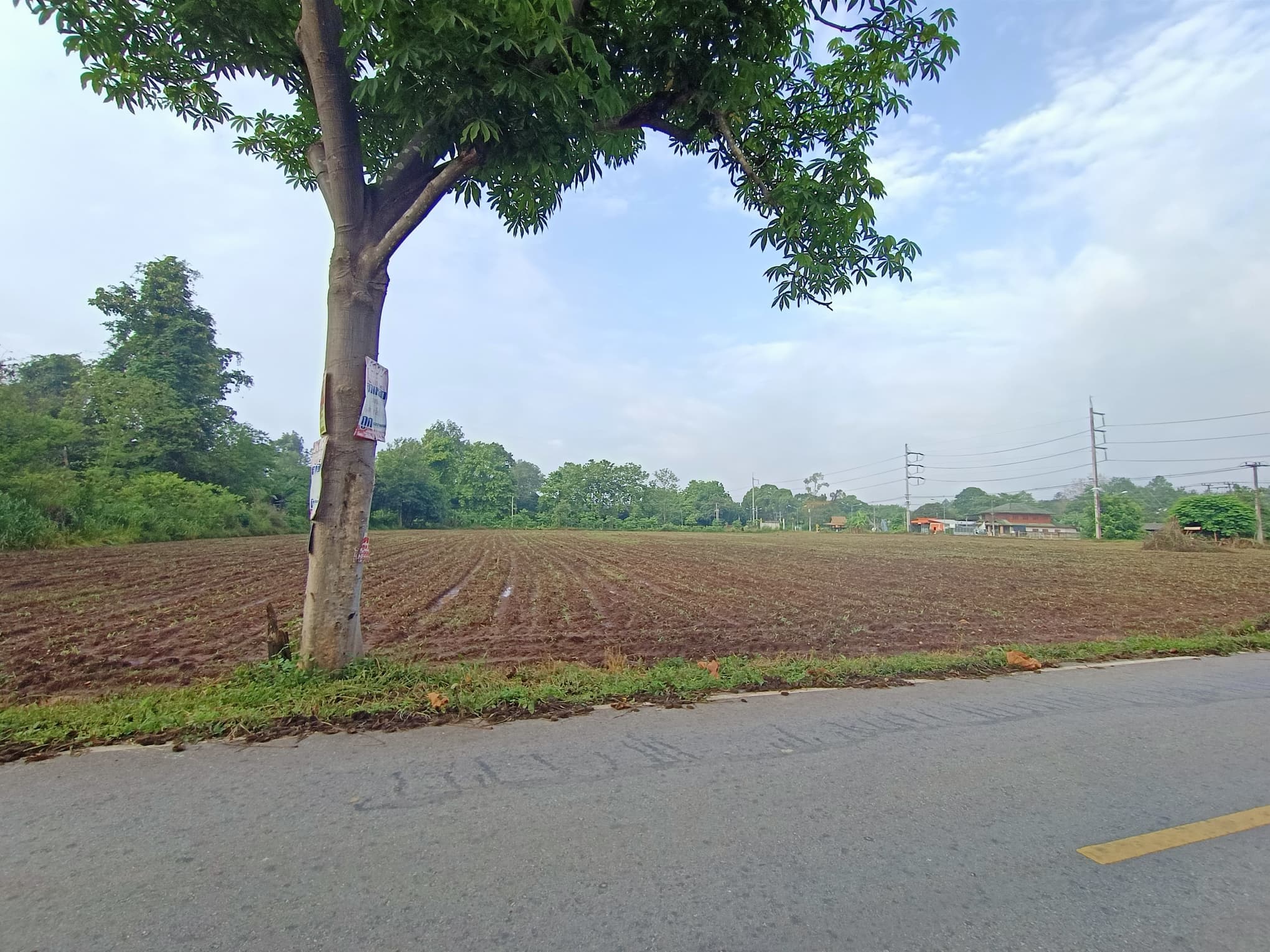 ขายที่ดินเชียงใหม่ จ.เชียงใหม่ อ.แม่แตง 8-3-73 ไร่