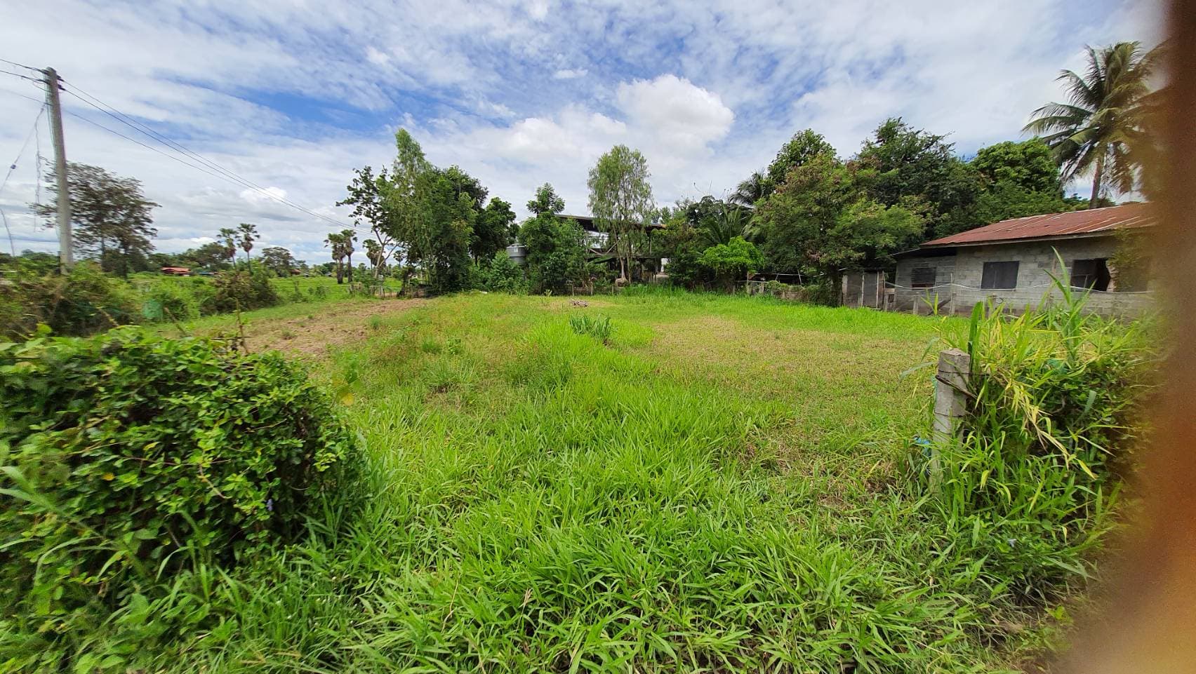ขายที่ดิน ที่เปล่า นางรอง บุรีรัมย์ 0-2-22