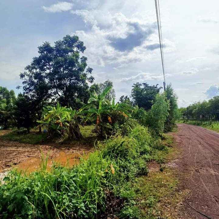 ขายที่ดิน พร้อมบ้านไม้ อำเภอเพ็ญ จังหวัดอุดรธานี 5-1-28 ไร่