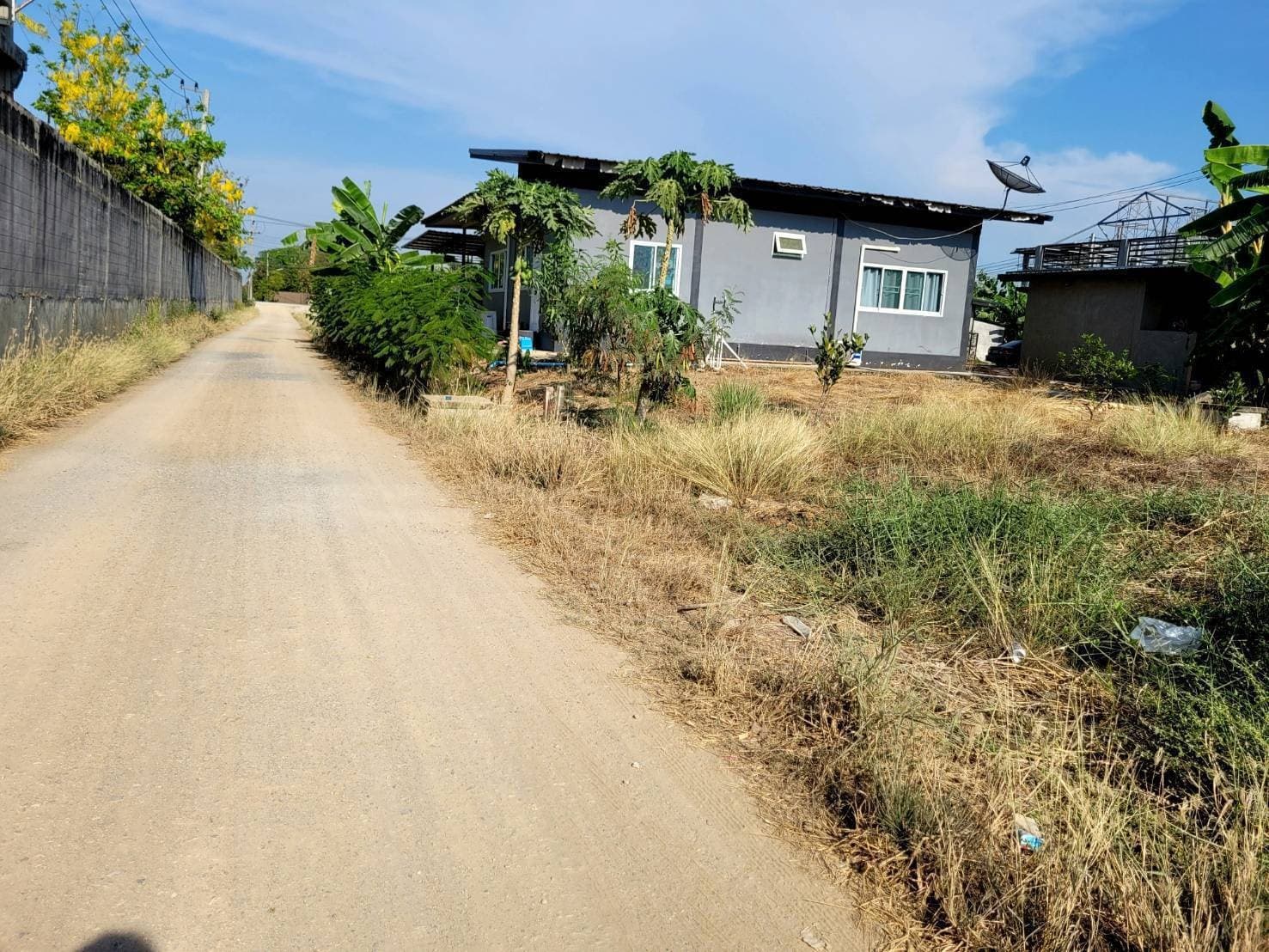 ที่ดินเปล่า ปทุมธานี 95 ตร.ว