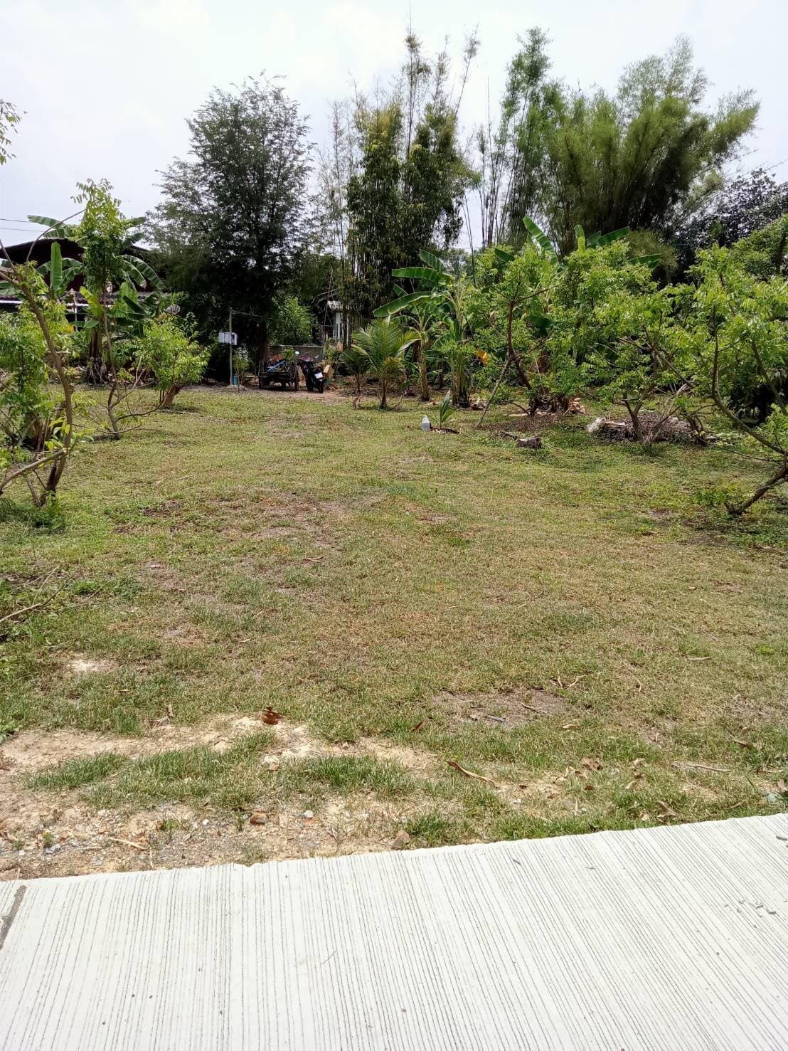 ขายที่ดินเชียงใหม่ จ.เชียงใหม่ อ.สารภี 2 งาน