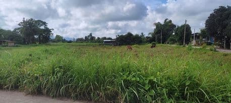 ที่ดินเปล่า พาน เชียงราย 3-1-0