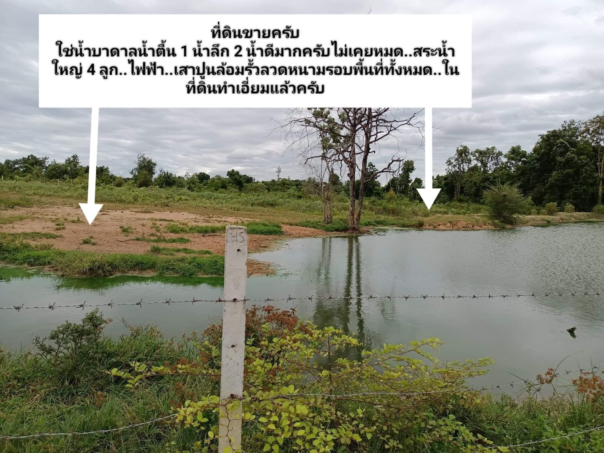 ขายที่ดิน ตาก 90 ไร่