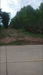 ที่ดินเปล่า กบินทร์บุรี ปี่จีนบุรี 49-2-87