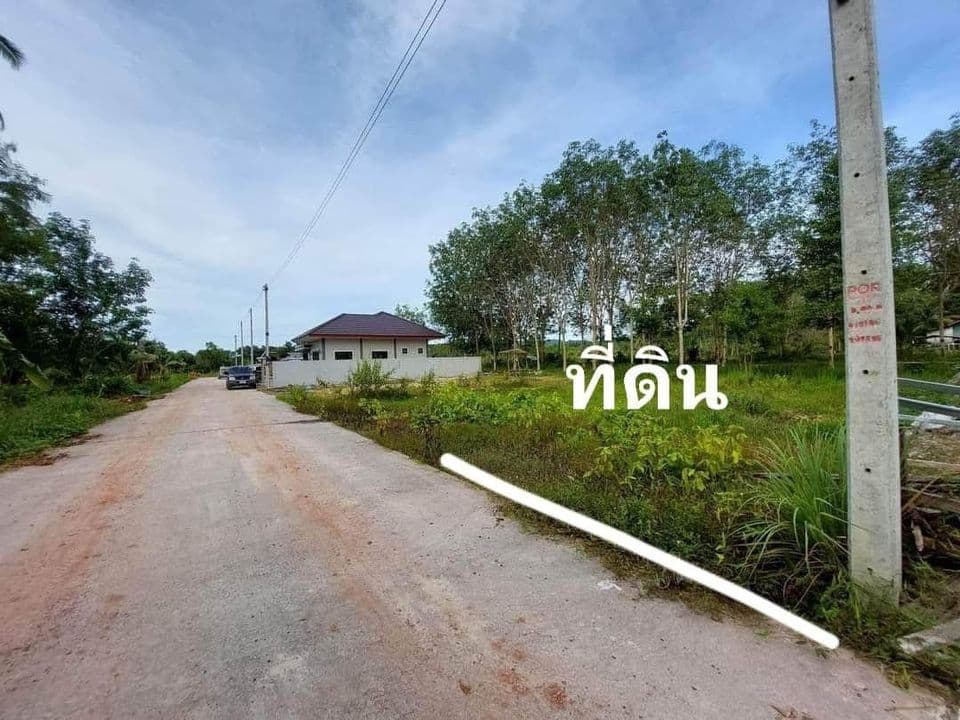 ขายที่ดิน สงขลา 61.1 ตรว.