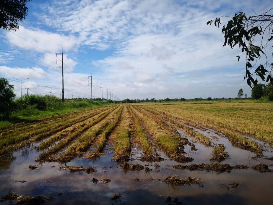 ขายที่ดินเปล่าปราจีนบุรี จ.ปราจีนบุรี อ.ศรีมโหสถ 14-0-25 ไร่