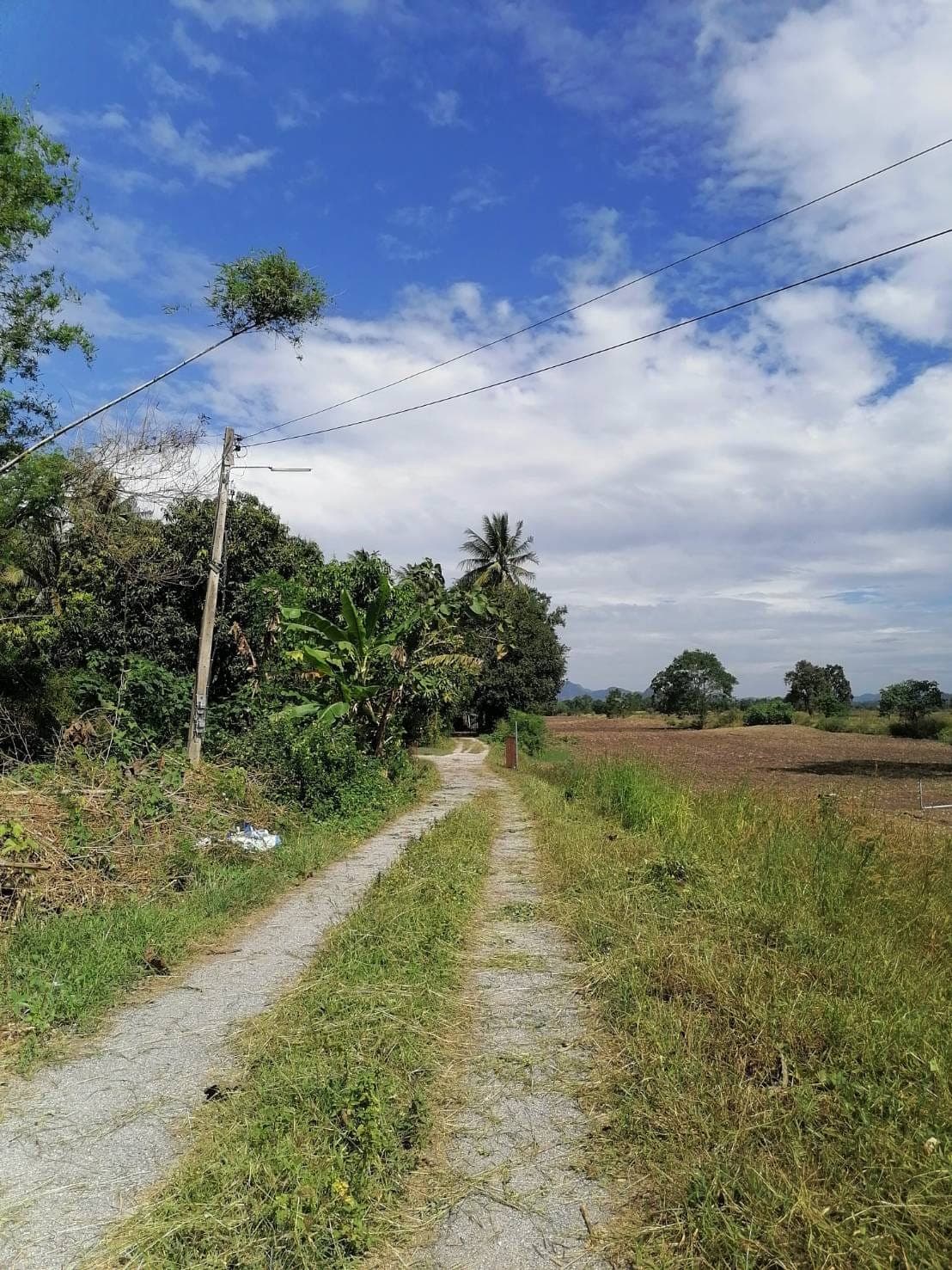 ขายที่ดินสระบุรี เสาไห้ 8-1-27