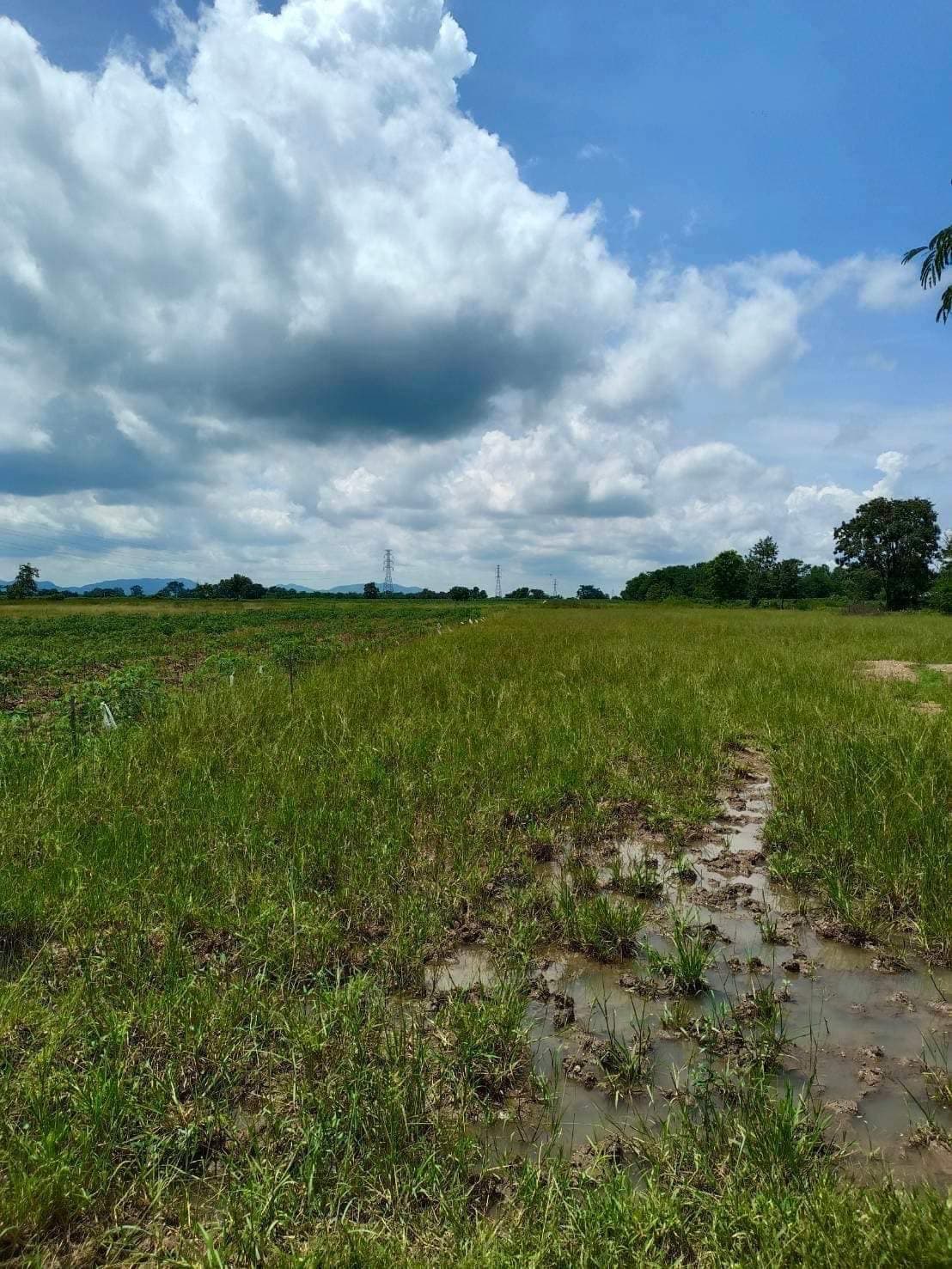 ขายที่ดิน ลพบุรี 47-3-3 ไร่