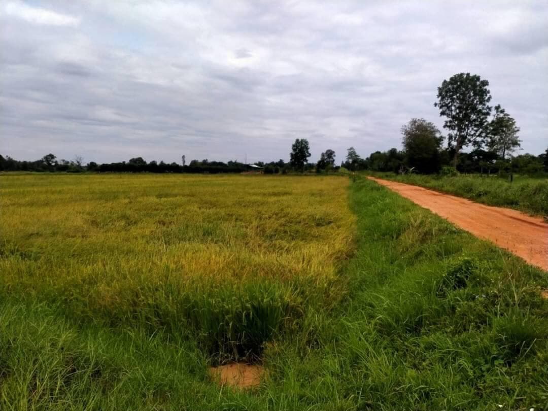 ขายที่ดินขอนแก่น เมืองขอนแก่น 4-0-28.8