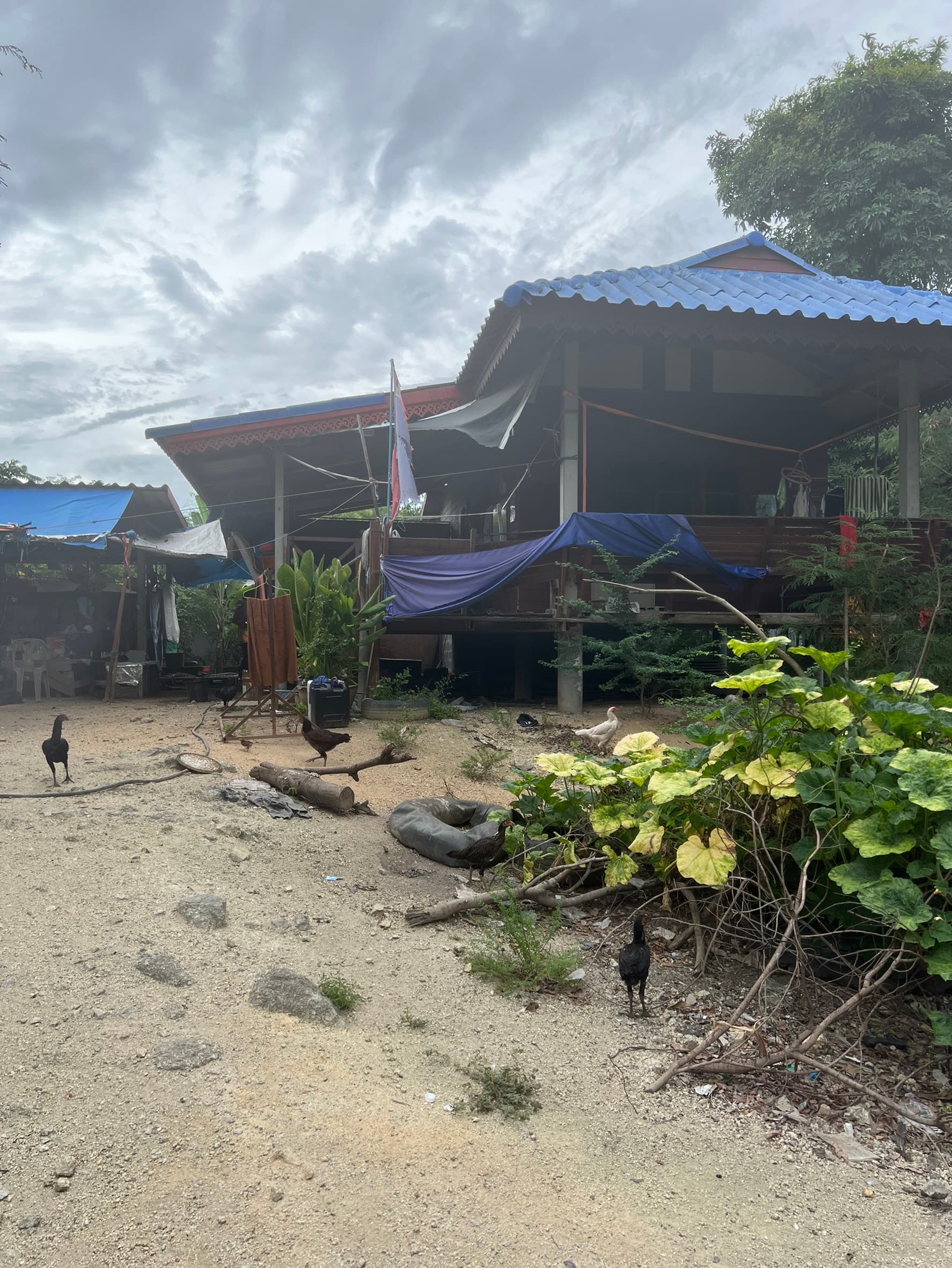 บ้านพร้อมที่ดิน อ.ศรีราชา จ.ชลบุรี 3 งาน