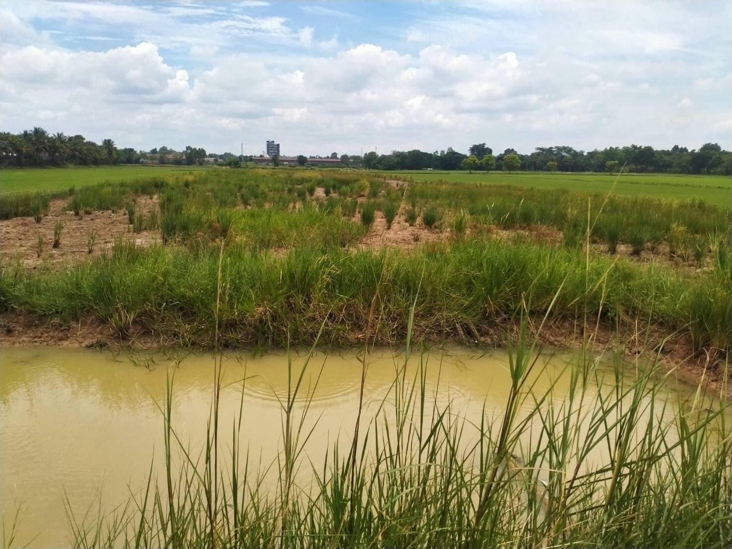 ขายที่ดินขอนแก่น เมืองขอนแก่น 5-0-23.7