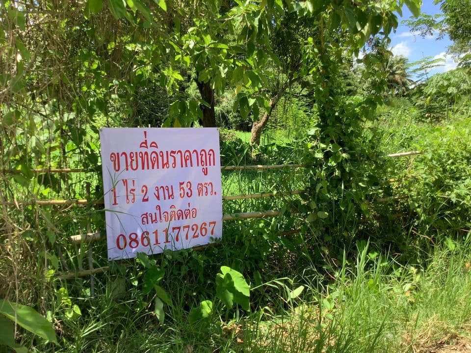ขายที่ดิน ลำปาง 1-2-53