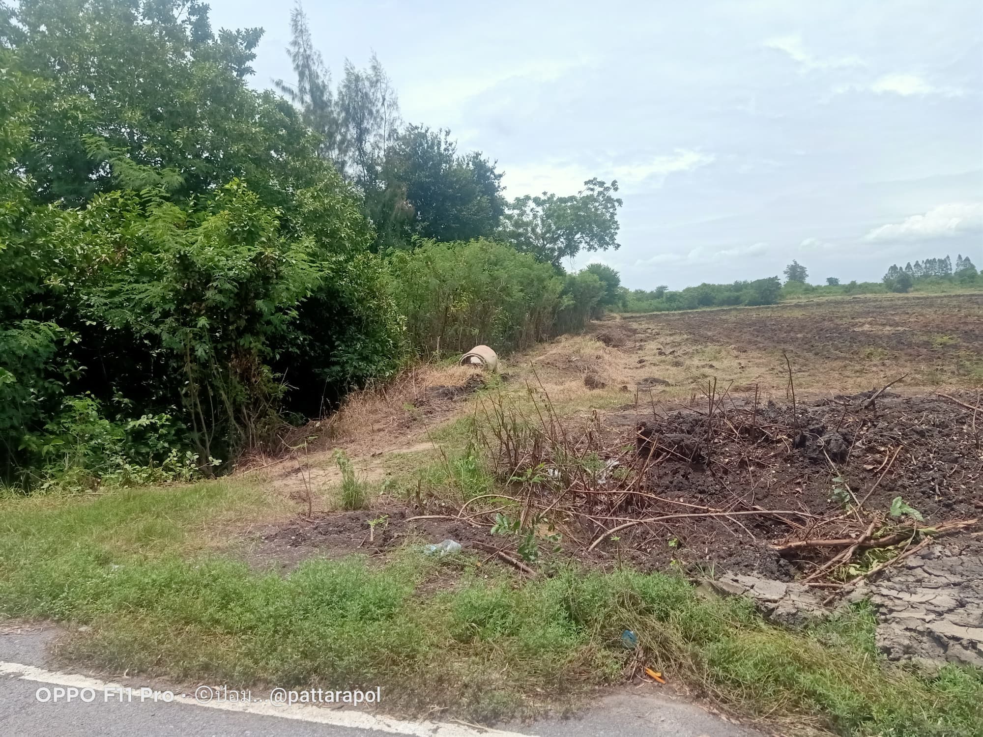 ขายที่ดิน ที่เปล่า บ้านหมี่ ลพบุรี 51-3-41