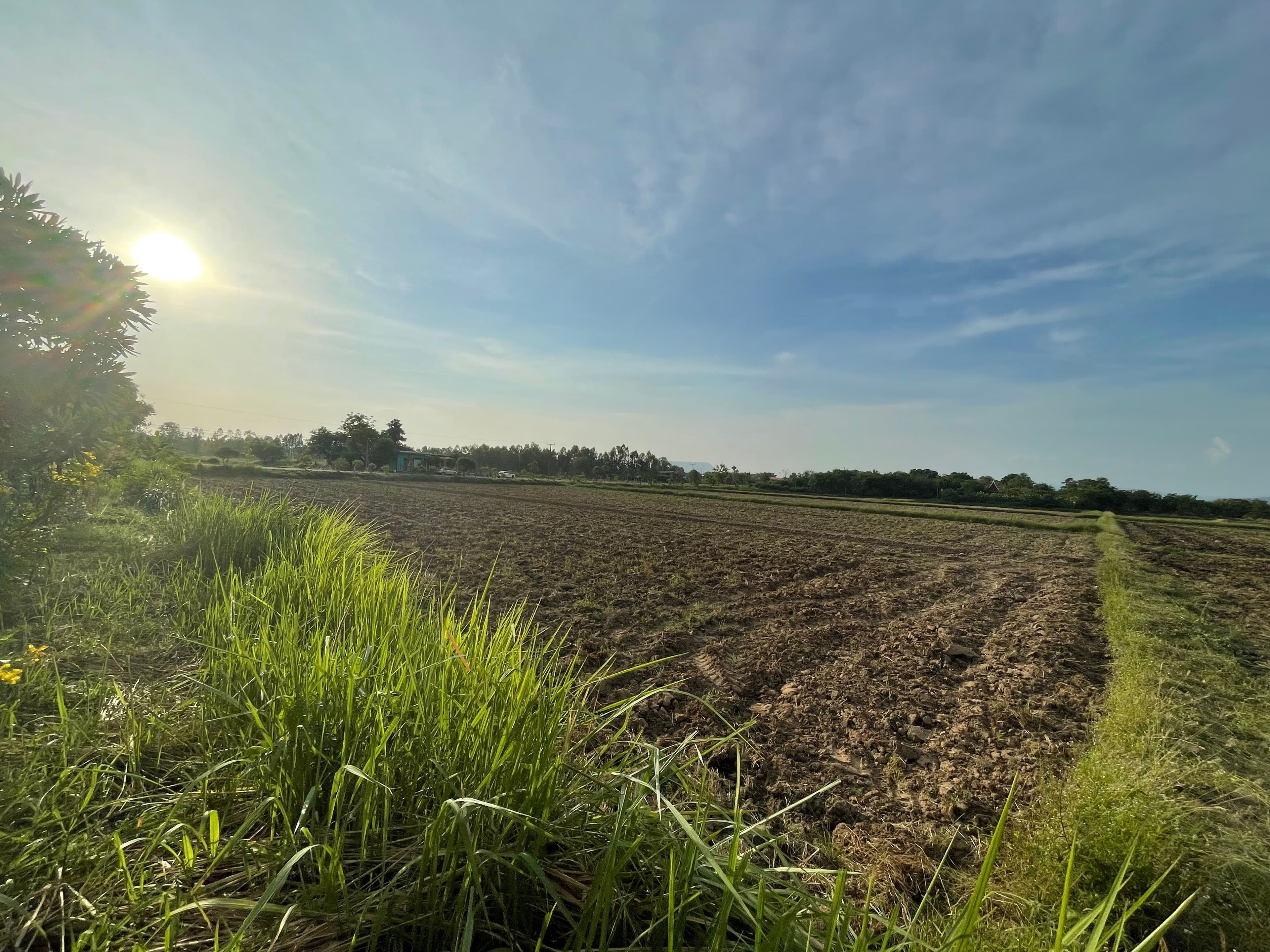 ขายที่ดิน จังหวัดพิษณุโลก เนินมะปราง