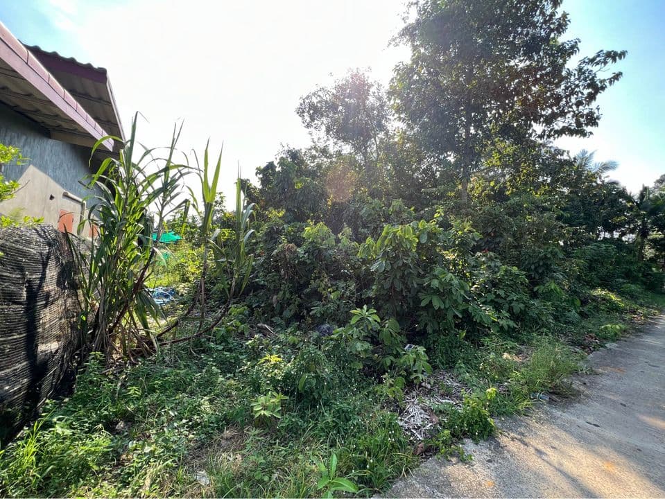 ขายที่ดิน ขลุง จันทบุรี 0-2-32