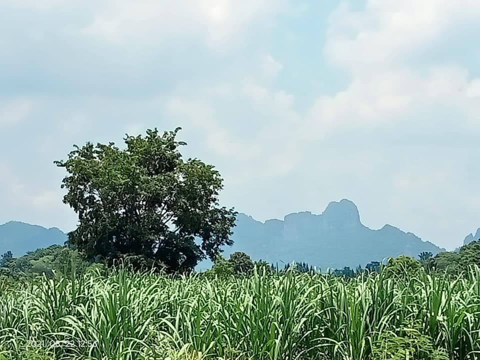 ที่ดินแปลงสวย ลพบุรี 3 ไร่