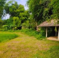 ที่ดินแปลงสวย เชียงราย 6-1-19